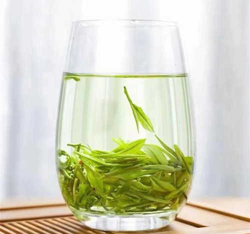 南阳南召县安吉白茶专卖店，南召安吉白茶【价格、图片、地址、联系方式】