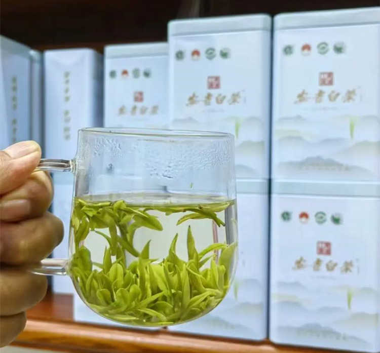 安吉白茶